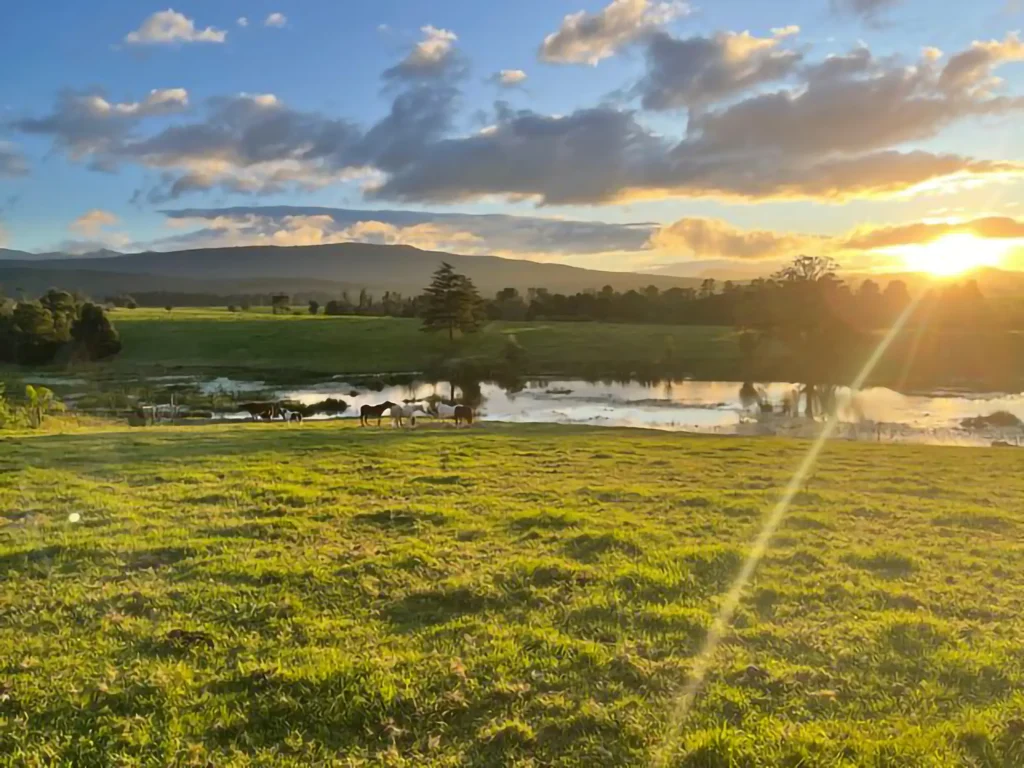 Knysna Burnout Mini Reset Retreat