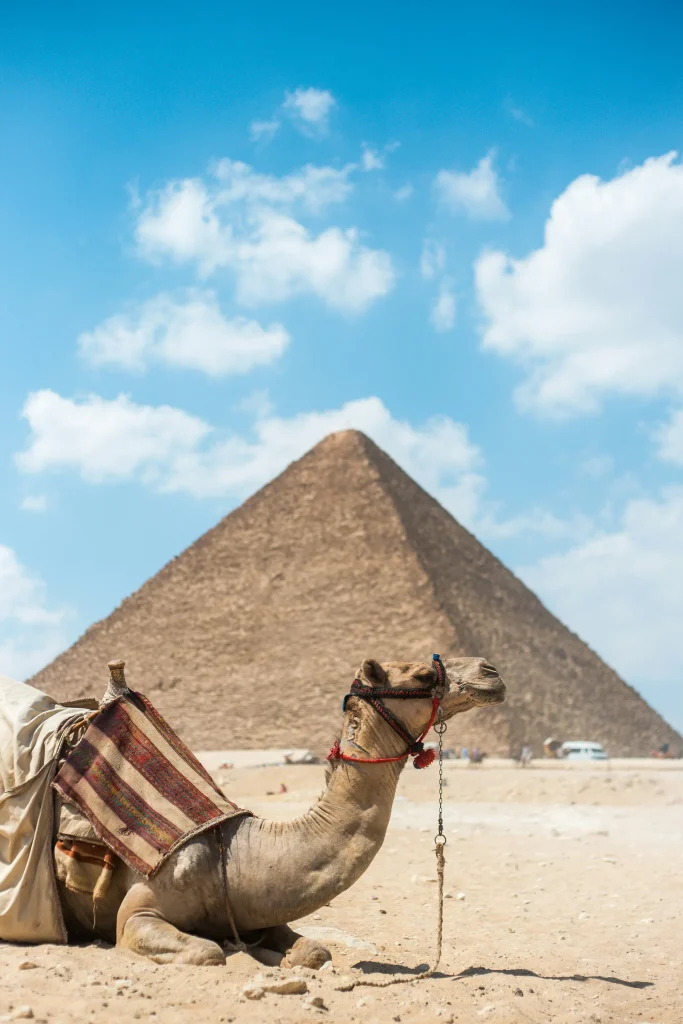 rosario-janza-69qT-N3L5sc-unsplash-egypt